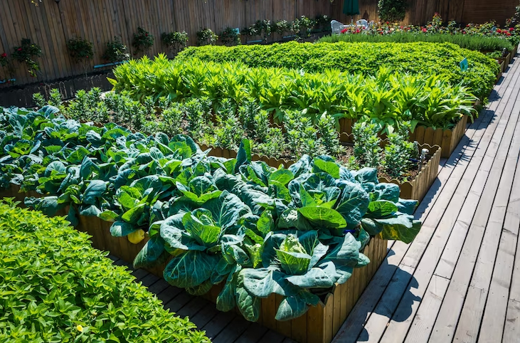 The Best Longest Lasting Raised Garden Beds For Sale