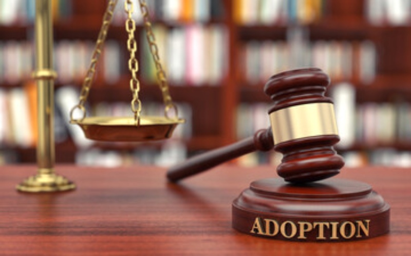 The Legal Side Of Adoption: Working With Adoption Attorney