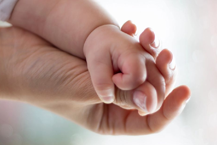 Get The Right Advice: Learn More About Child Support Attorney
