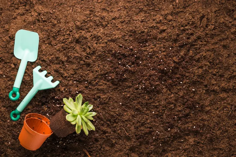 Understanding Garden Soil: The Foundation of a Thriving Garden
