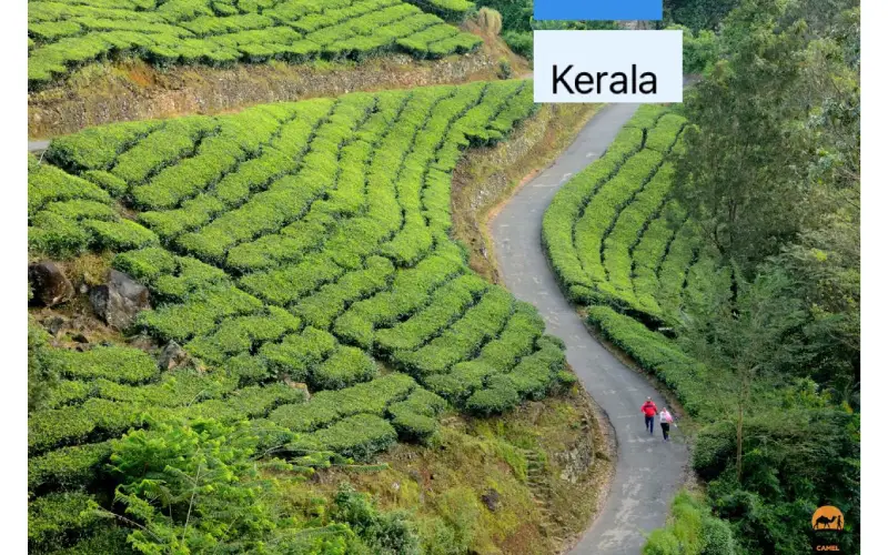 Why Kerala Holiday Packages Are Ideal for First-Time Travelers?